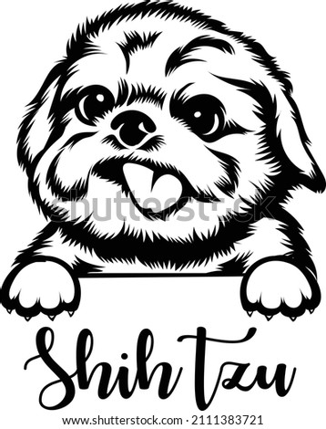 Shih Tzu Vector Peeking Shih Tzu Cute Dog Outlines Silhouette Cricut