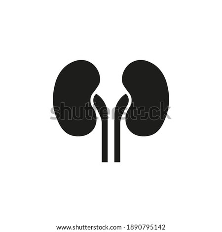 Kidneys icon. Vector. Flat design.