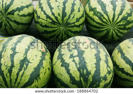 Watermelon skin beautiful texture. It is people like fruit in summer.