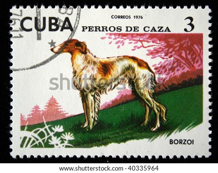 CUBA - CIRCA 1976: A stamp printed by Cuba shows the Dog Borzoi, stamp is from the series, circa 1976