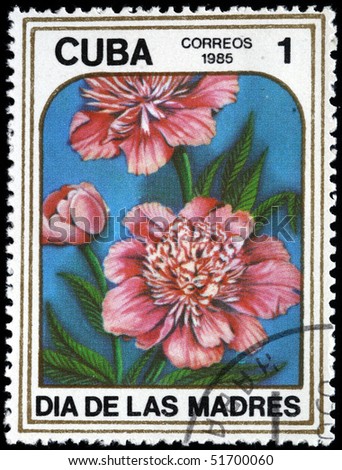 CUBA - CIRCA 1983: A stamp printed in Cuba shows Peony or paeony , series Mother\'s Day, circa 1983