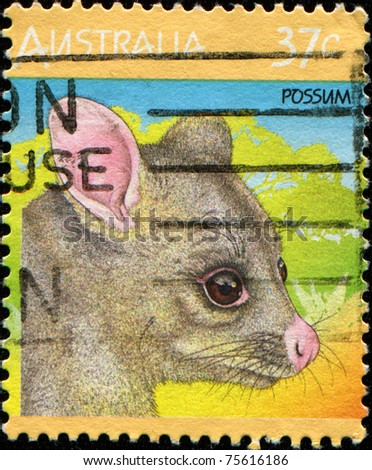 AUSTRALIA - CIRCA 1987: A stamp printed in Australia shows possum, circa 1987