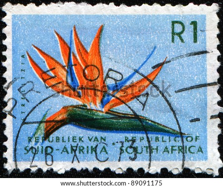 SOUTH AFRICA - CIRCA 1961: A stamp printed in South Africa shows Strelitzia reginae, circa 1961