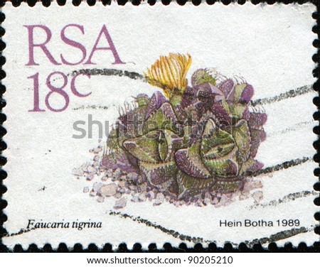 SOUTH AFRICA - CIRCA 1989: A stamp printed in South Africa (RSA) shows faucaria tigrina - species of succulent subtropical plants of the family Aizoaceae, circa 1989