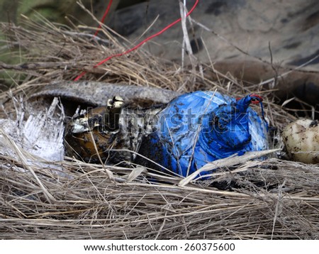 LISICHANSK, UKRAINE - March 12, 2015: Radio-controlled improvised explosive device -- Task Force Security Service of Ukraine together with the police prevented a terrorist act