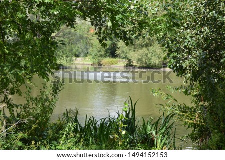 Similar – Image, Stock Photo Looking through the woods to a boat on a lake in the mountains with still reflection