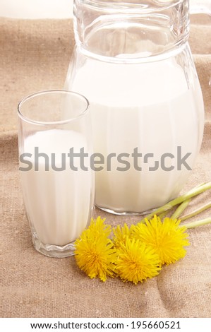 Jug with fresh milk and yellow flowers