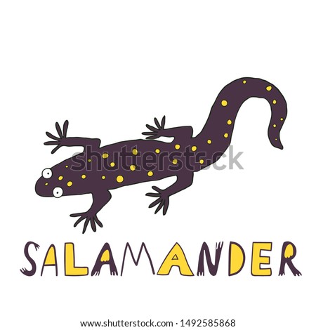 43 Salamander Icon Images At Vectorified Com - tiger egg roblox wikia fandom