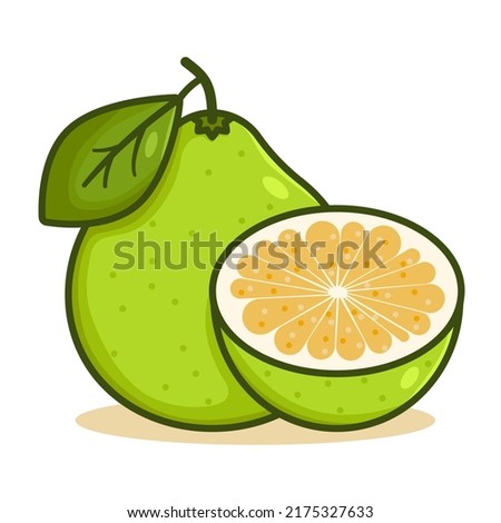 Pomelo fruit with leaf color vector illustration. Outline citrus maxima isolated on white background. Cartoon exotic food design, colorful flat design