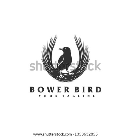 bower bird logo design concept illustration.