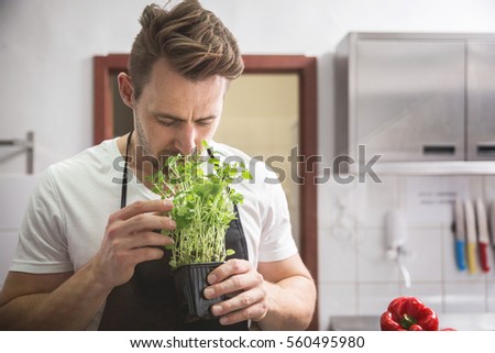 Similar – Image, Stock Photo Lemon balm in front of dot tablecloth