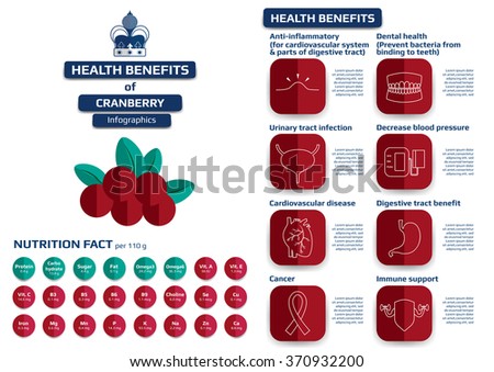 health benefits of cranberry infographic, medical vector illustration.