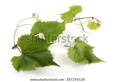 Grape leaves