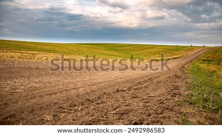 Similar – Image, Stock Photo Country road and path surrounded by fields with barley and rape, two trees standing at the roadside in front of a blue sky with little clouds and sunshine