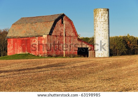 Red Barn and White Silo A red barn with peeling paint and a white silo with a wheat colored harvested field in the foreground set against a cloudless blue sky in autumn.
