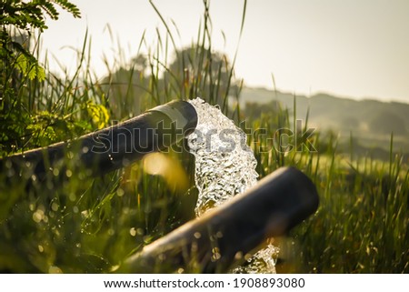 Foto Bild Wasser gefüllter Teich mit Schilfgras, Schilfrohr Gräsern in Art einer Weitwinkelaufnahme als Beispiel der Schönheit der Natur in ihren Farben und Formen mit Himmel