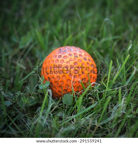 Red golf ball, close-up