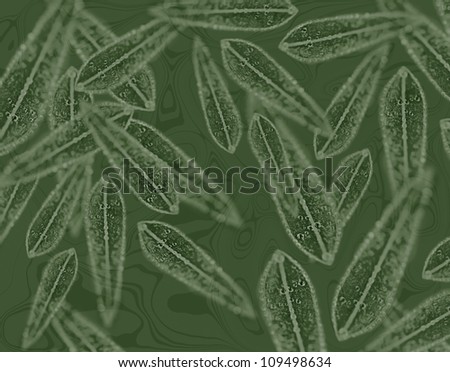 Australian gum leaf pattern on eucalyptus leafy green background wallpaper