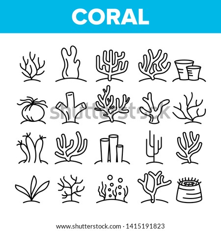 Corals Reefs And Seaweed Vector Linear Icons Set. Ocean Corals, Underwater Sea Life Outline Symbols Pack. Marine Flora And Fauna. Aquarium Natural Decoration Isolated Contour Illustrations
