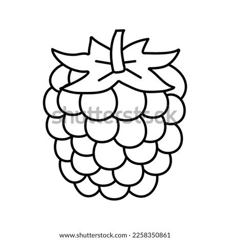 blackberry berry line icon vector. blackberry berry sign. isolated contour symbol black illustration