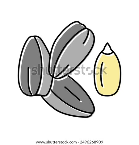 sunflower seed color icon vector. sunflower seed sign. isolated symbol illustration