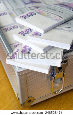 Czech money - banknotes in a case  -  economy and finance