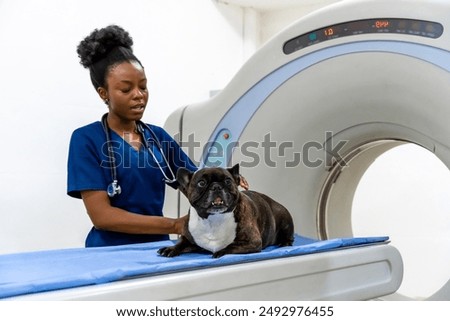 Similar – Foto Bild Tierarzt bei der Vorbereitung eines Hundes für eine Tomographieuntersuchung in der Klinik