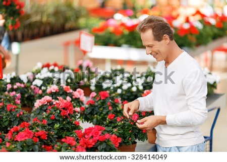 What to choose. Positive upbeat smiling customer looking at flowers and buying them while evincing joy
