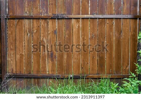 Similar – Image, Stock Photo Grey mottled wooden slatted wall through which the ivy is growing