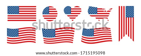 Flag USA set isolated icon in flat style.  Vector illustration.