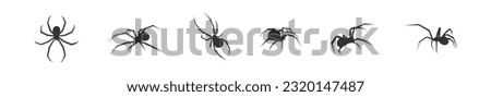 Halloween spider set icons. Silhouette of black insect icon. Vector holiday october poster, flat horror illustration