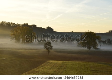 Similar – Foto Bild Grauer Himmel, Bäume, Feld