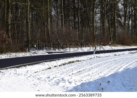 Similar – Image, Stock Photo Snowy winter forest Eifel