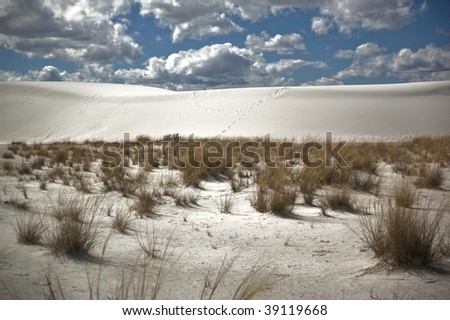 Tracks through the Dunes - foot tracks at White Sands National Monument