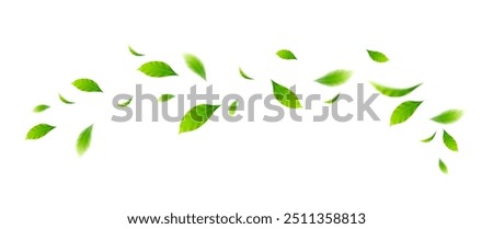 Flying leaves design, suitable for design elements