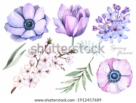 Watercolor illustrations.Spring flowers set on white background. 
Anemones, 
purple lilacs, cherry blossoms.