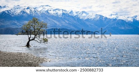 Similar – Image, Stock Photo A lone tree on the hillside survived the last storm