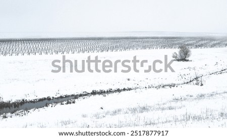 Similar – Foto Bild Riesige schneebedeckte Weinberge im Moseltal von Bernkastel-kues in Deutschland während der Wintersaison