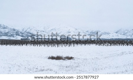 Similar – Foto Bild Riesige schneebedeckte Weinberge im Moseltal von Bernkastel-kues in Deutschland während der Wintersaison