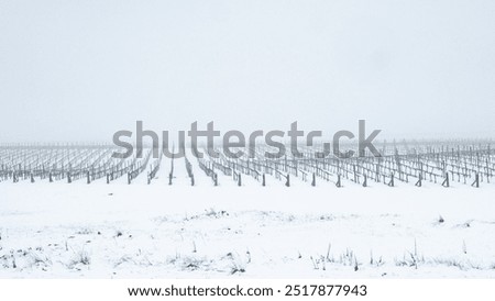 Similar – Foto Bild Riesige schneebedeckte Weinberge im Moseltal von Bernkastel-kues in Deutschland während der Wintersaison