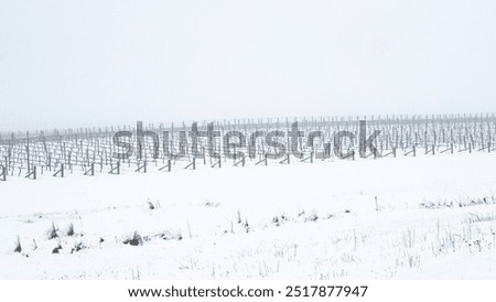 Similar – Foto Bild Riesige schneebedeckte Weinberge im Moseltal von Bernkastel-kues in Deutschland während der Wintersaison