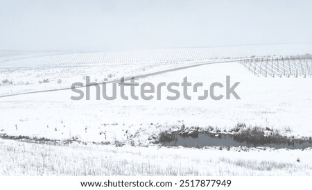 Similar – Foto Bild Riesige schneebedeckte Weinberge im Moseltal von Bernkastel-kues in Deutschland während der Wintersaison