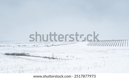 Similar – Foto Bild Riesige schneebedeckte Weinberge im Moseltal von Bernkastel-kues in Deutschland während der Wintersaison