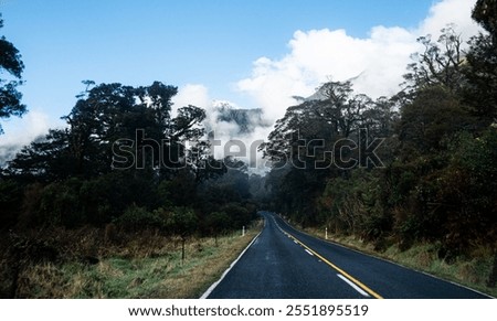 Similar – Image, Stock Photo The fog goes through forest