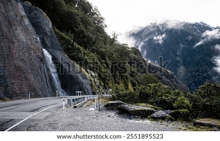 Similar – Image, Stock Photo The fog goes through forest