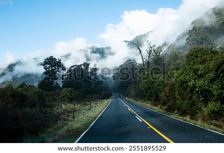 Similar – Image, Stock Photo The fog goes through forest