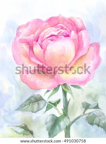 pink garden rose, watercolor painting. Hand-drawn sketch, illustration suit for poster, cover notebooks, invitation to the wedding, wallpaper, floral background