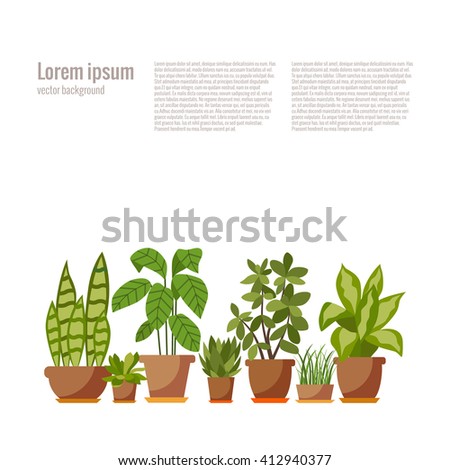 Vector flat indoor plant pot illustration.  Colorful indoor plants in pot for your design.