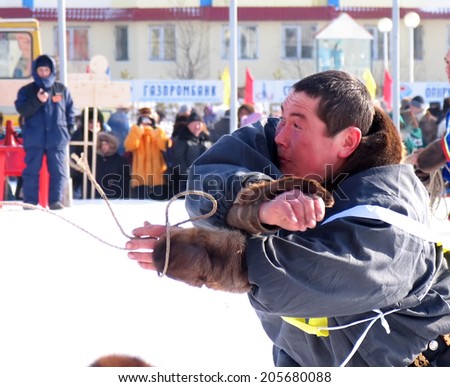 Nadym, Russia - on March 17, 2006: the national holiday - the Day of the reindeer  in Nadym, Russia - on March 17, 2006. Sports competitions. Unknown man throws lasso.