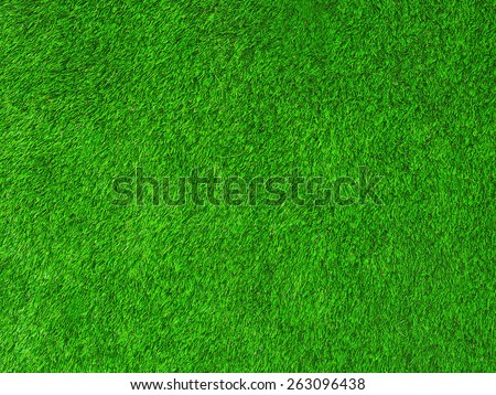 Green texture grass background